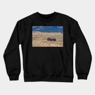 Lindsay Ranch Crewneck Sweatshirt